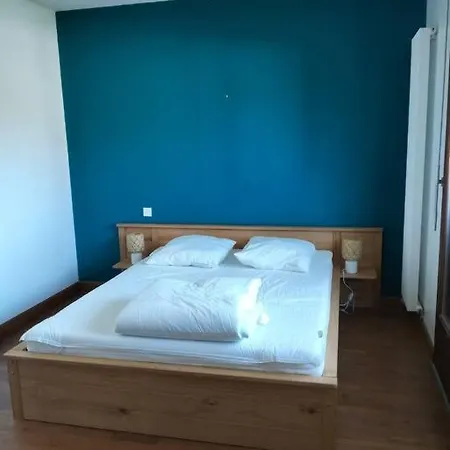度假居 20 People House Swimming Pool And 奎米亚克